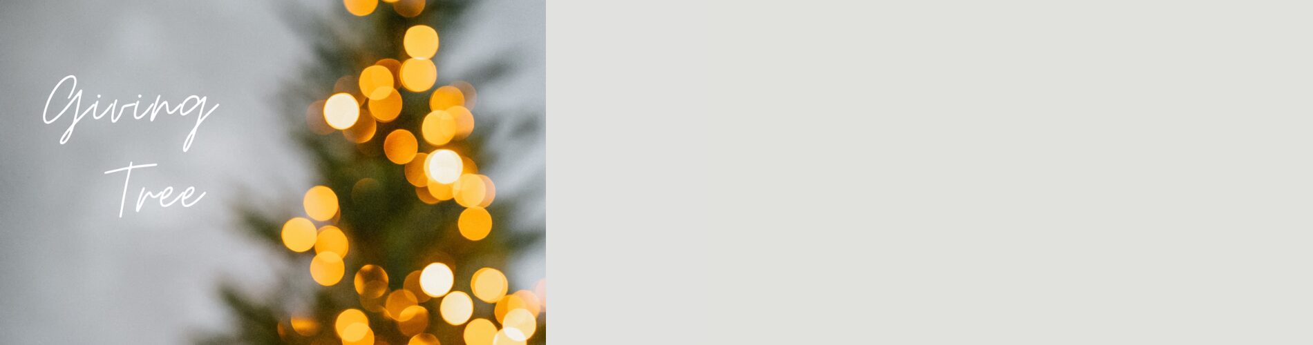 Your Trusted Resource - Little Friends, Inc